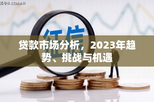 洛扎贷款市场分析，2023年趋势、挑战与机遇
