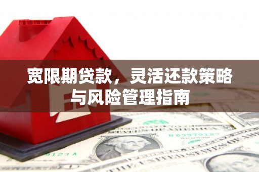 龙崎宽限期贷款，灵活还款策略与风险管理指南