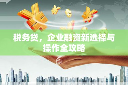 澜沧税务贷，企业融资新选择与操作全攻略