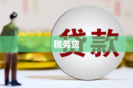 宝兴税务贷