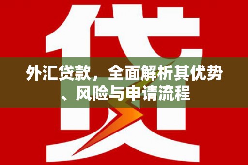 定西外汇贷款，全面解析其优势、风险与申请流程