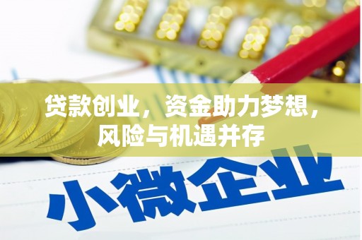 洛扎贷款创业，资金助力梦想，风险与机遇并存