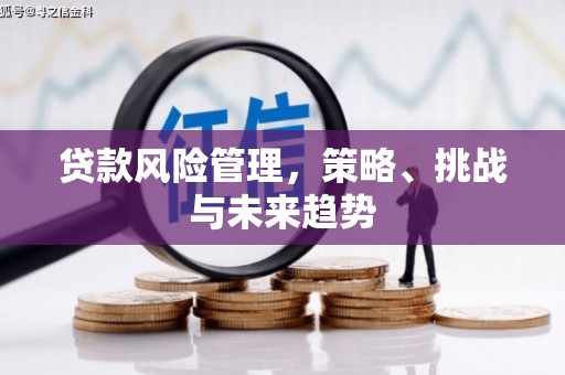 宁晋贷款风险管理，策略、挑战与未来趋势