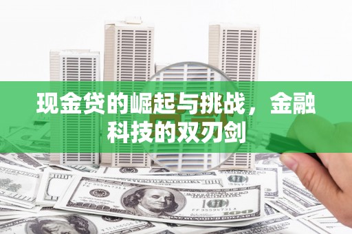 颍上现金贷的崛起与挑战，金融科技的双刃剑