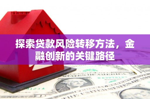 临海探索贷款风险转移方法，金融创新的关键路径