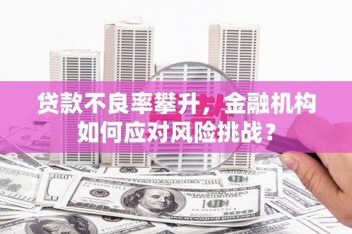 五河贷款不良率攀升，金融机构如何应对风险挑战？