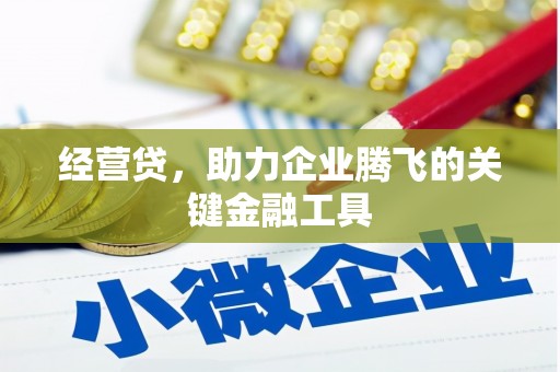 郧西经营贷，助力企业腾飞的关键金融工具