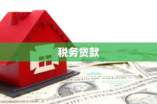 东至税务贷款