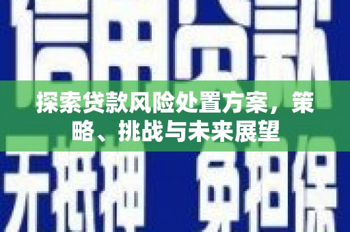 白河探索贷款风险处置方案，策略、挑战与未来展望