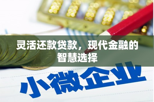 岭东灵活还款贷款，现代金融的智慧选择