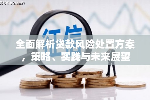 鼓山全面解析贷款风险处置方案，策略、实践与未来展望