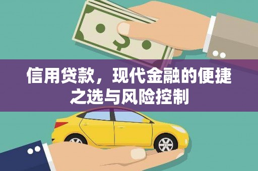 苓雅信用贷款，现代金融的便捷之选与风险控制