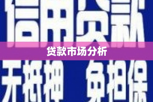 东兴贷款市场分析