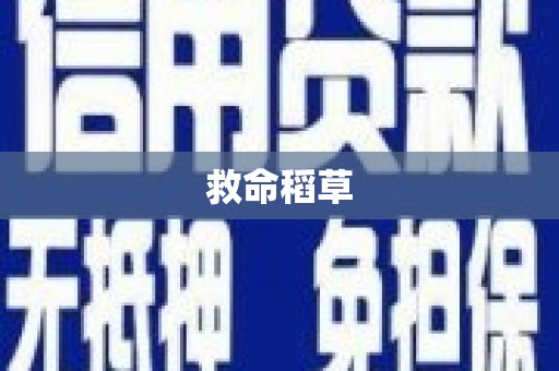 临夏救命稻草
