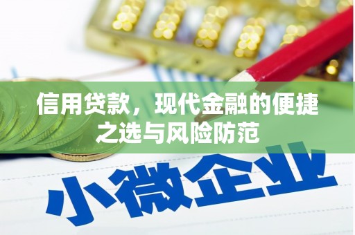 九龙城信用贷款，现代金融的便捷之选与风险防范