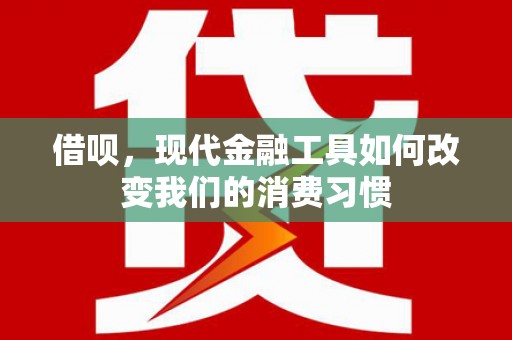 大林借呗，现代金融工具如何改变我们的消费习惯