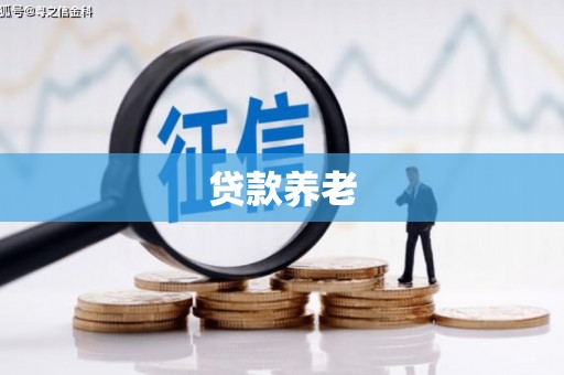 房县贷款养老
