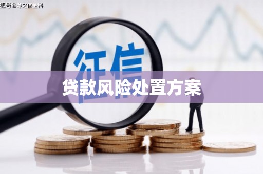 东方贷款风险处置方案