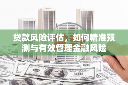 山阴贷款风险评估，如何精准预测与有效管理金融风险
