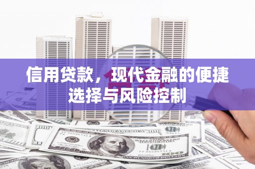 馆陶信用贷款，现代金融的便捷选择与风险控制