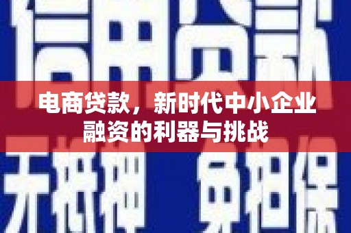 汐止电商贷款，新时代中小企业融资的利器与挑战
