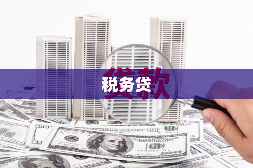 成武税务贷