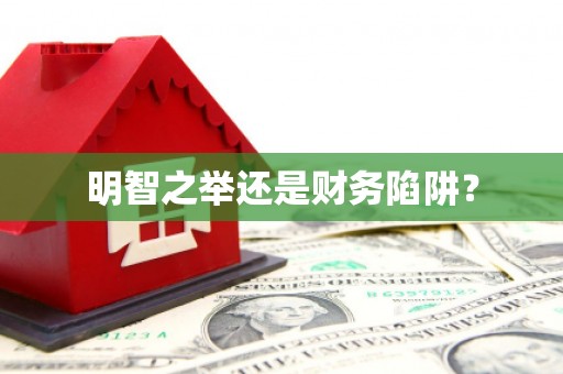 西螺明智之举还是财务陷阱？