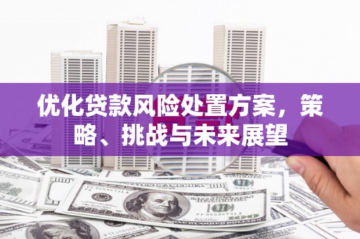 龙潭优化贷款风险处置方案，策略、挑战与未来展望