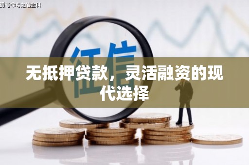 武安无抵押贷款，灵活融资的现代选择