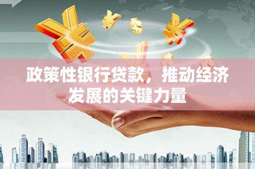 泰宁政策性银行贷款，推动经济发展的关键力量