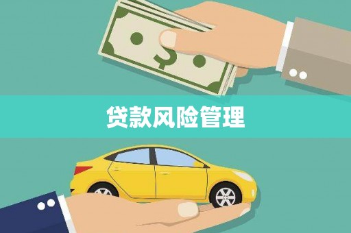 灞桥贷款风险管理