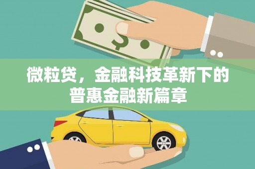 黄圃微粒贷，金融科技革新下的普惠金融新篇章