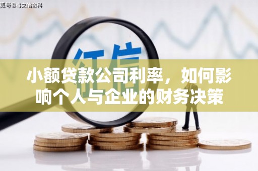台州小额贷款公司利率，如何影响个人与企业的财务决策