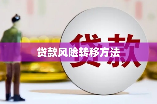 曲麻莱贷款风险转移方法