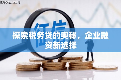 伸港探索税务贷的奥秘，企业融资新选择