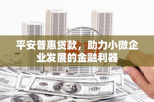 临漳平安普惠贷款，助力小微企业发展的金融利器