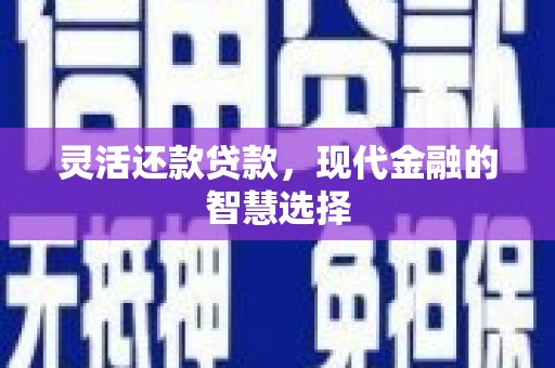 瑞昌灵活还款贷款，现代金融的智慧选择
