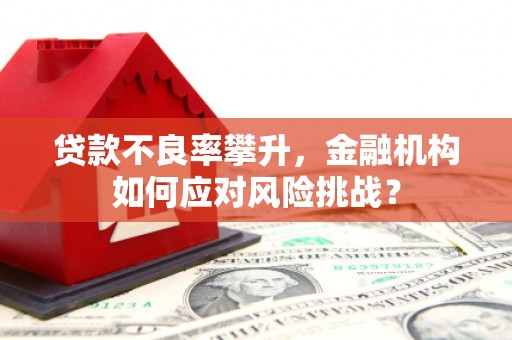 广宗贷款不良率攀升，金融机构如何应对风险挑战？