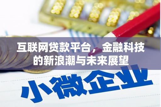 细河互联网贷款平台，金融科技的新浪潮与未来展望