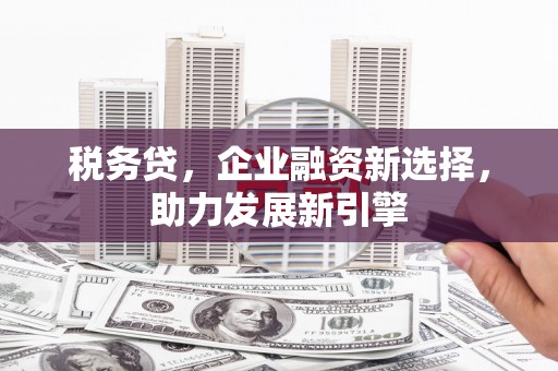 虞城税务贷，企业融资新选择，助力发展新引擎