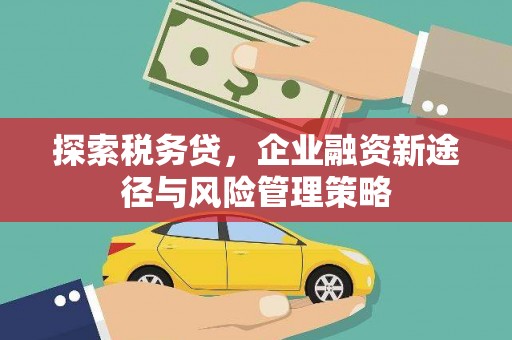 卑南探索税务贷，企业融资新途径与风险管理策略