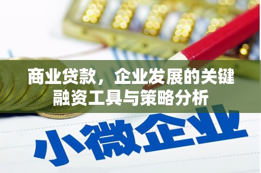 石台商业贷款，企业发展的关键融资工具与策略分析