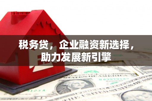 开阳税务贷，企业融资新选择，助力发展新引擎