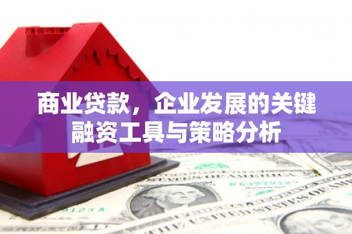 西秀商业贷款，企业发展的关键融资工具与策略分析