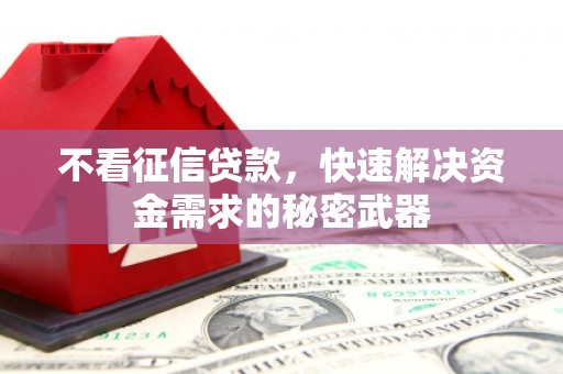 峨边不看征信贷款，快速解决资金需求的秘密武器