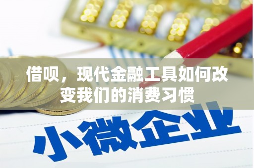田寮借呗，现代金融工具如何改变我们的消费习惯