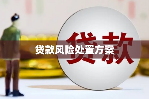 袁州贷款风险处置方案