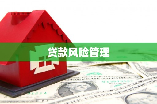 柳河贷款风险管理