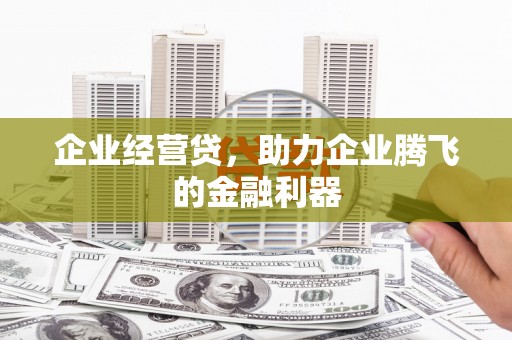 梅河口企业经营贷，助力企业腾飞的金融利器