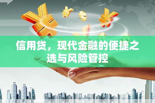 达拉特旗信用贷，现代金融的便捷之选与风险管控